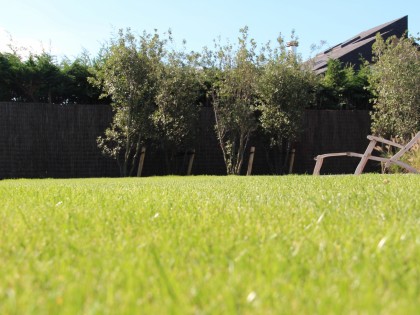 Strakke tuin met natuurlijke grassen in combinatie met moderne afsluiting